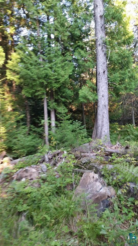 Xxx Thomson Road Esko, MN 55733 - Photo 8 of 14 Gallery Image 8