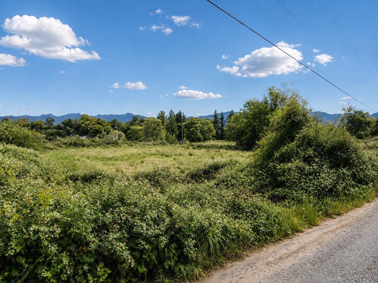 258 Cabbage Lane Phoenix, OR 97535 - Photo 8 of 10 D5793601-F328-4703-9D47-D7C1326311BA Lar