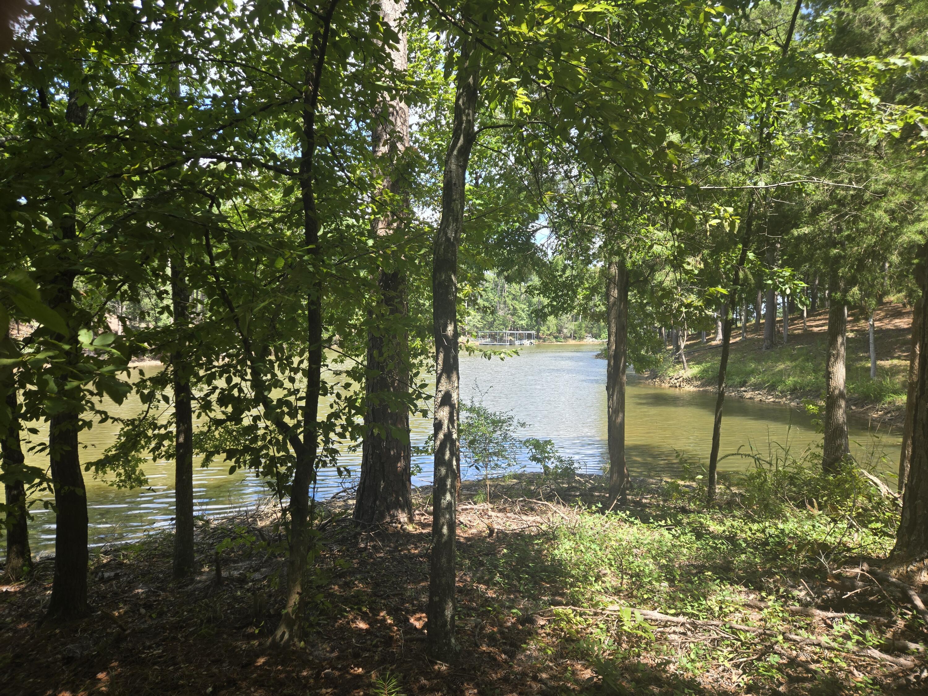 110 Old Course Lane McCormick, SC 29835 - Photo 11 of 16 20250902_132343