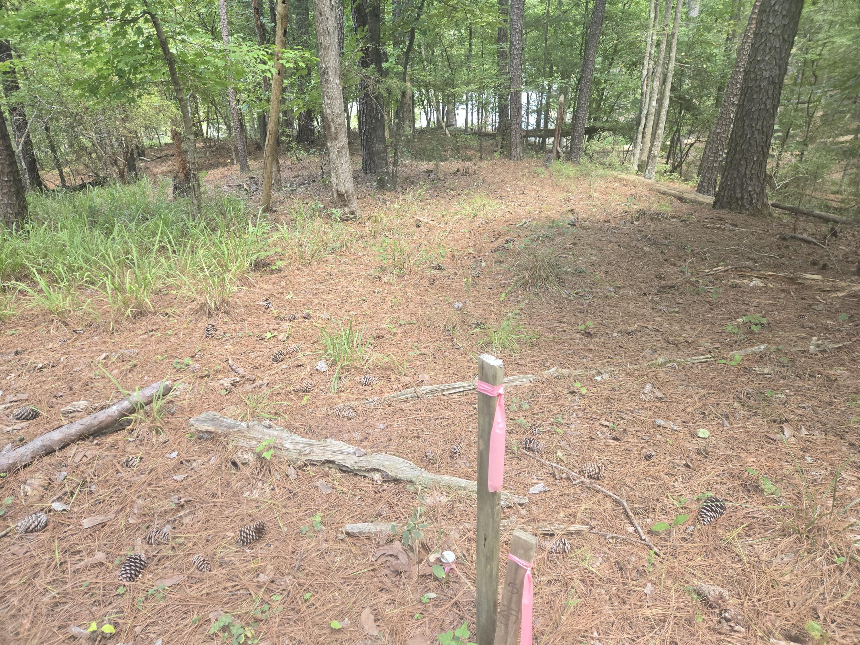 110 Old Course Lane McCormick, SC 29835 - Photo 15 of 16 20250902_132051