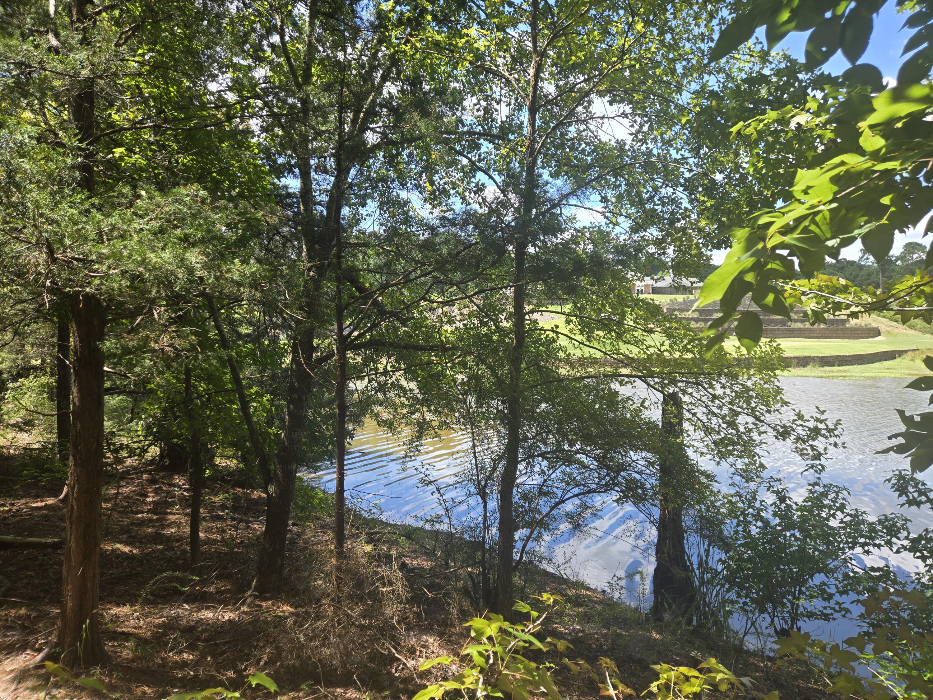 110 Old Course Lane McCormick, SC 29835 - Photo 6 of 16 20250902_132233