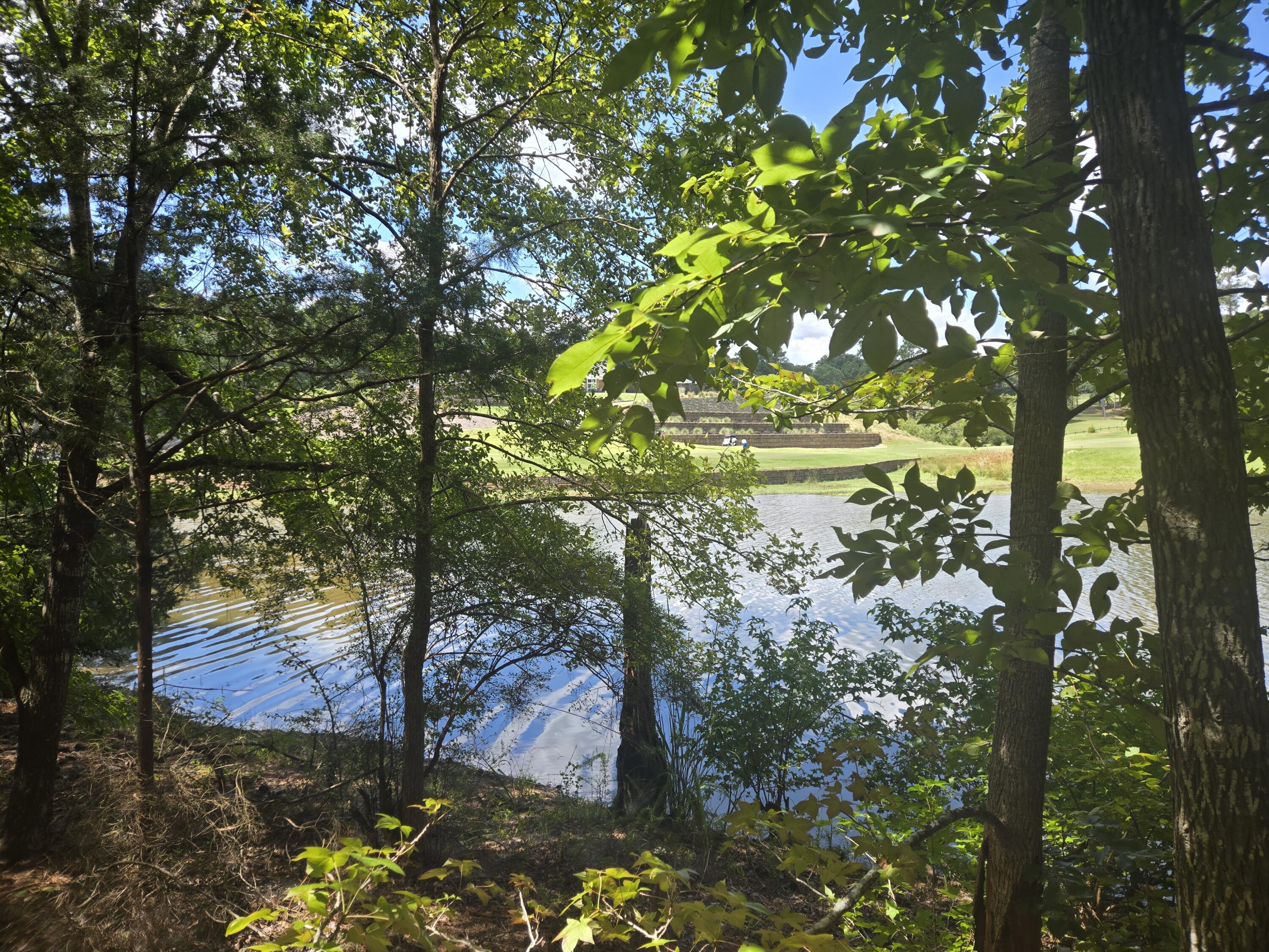 110 Old Course Lane McCormick, SC 29835 - Photo 8 of 16 20250902_132231