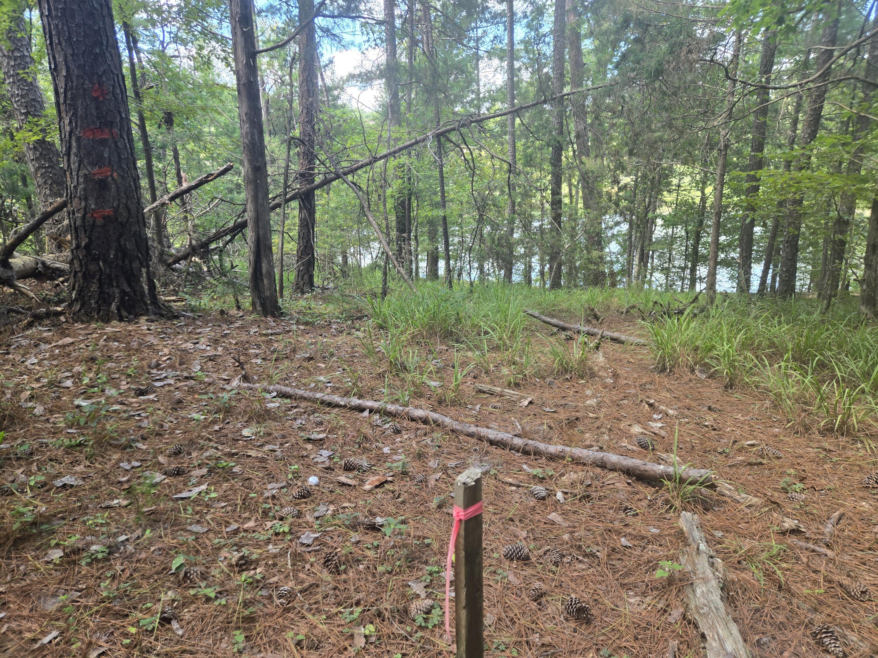 110 Old Course Lane McCormick, SC 29835 - Photo 9 of 16 20250902_132100