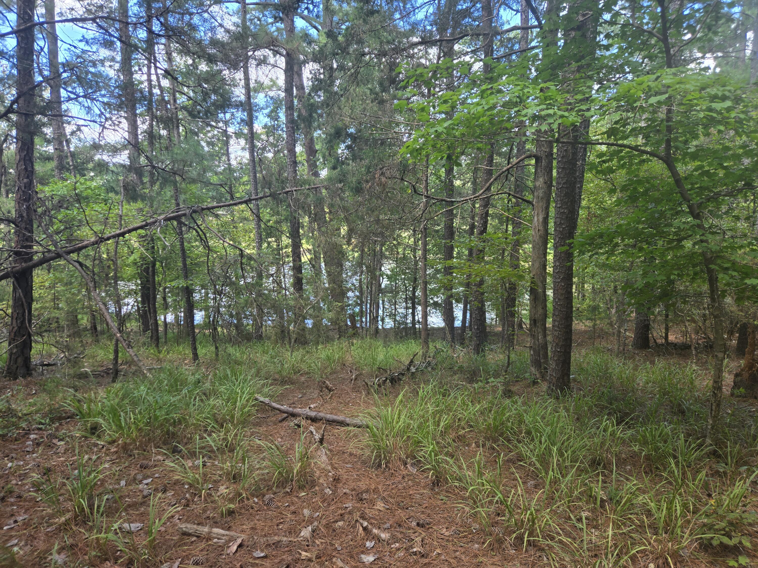 110 Old Course Lane McCormick, SC 29835 - Photo 10 of 16 20250902_132034