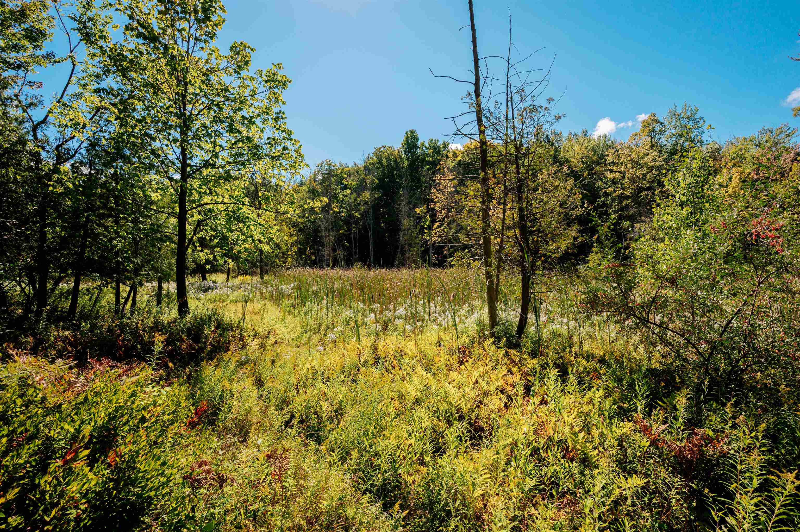 3325 Five Mile Road Traverse City, MI 49686 - Photo 48 of 69 1927016-53c55a93-829c-4052-902e-4a05c1ba69e1.JPG