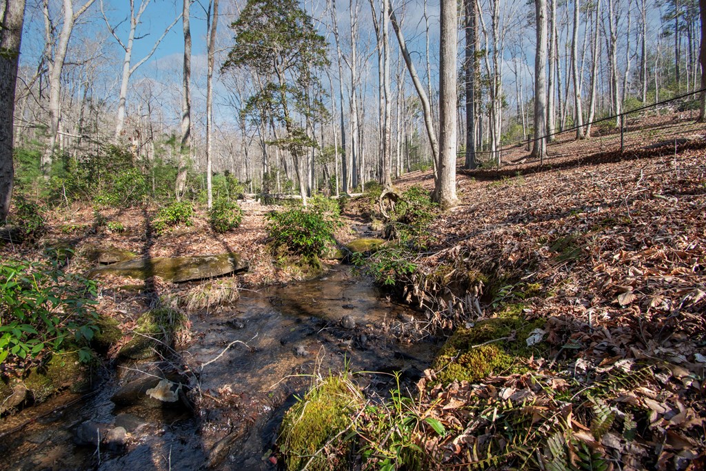 1220 Burger Road Murphy, NC 28906 - Photo 45 of 98