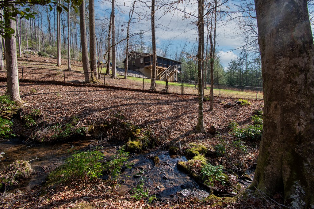 1220 Burger Road Murphy, NC 28906 - Photo 46 of 98