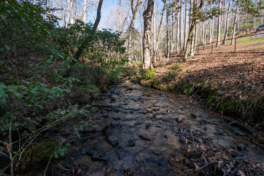 1220 Burger Road Murphy, NC 28906 - Photo 48 of 98