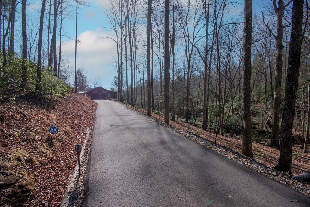 1220 Burger Road Murphy, NC 28906 - Photo 54 of 98