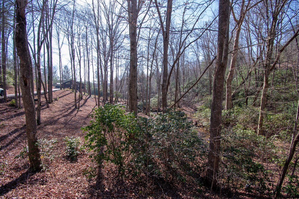 1220 Burger Road Murphy, NC 28906 - Photo 55 of 98