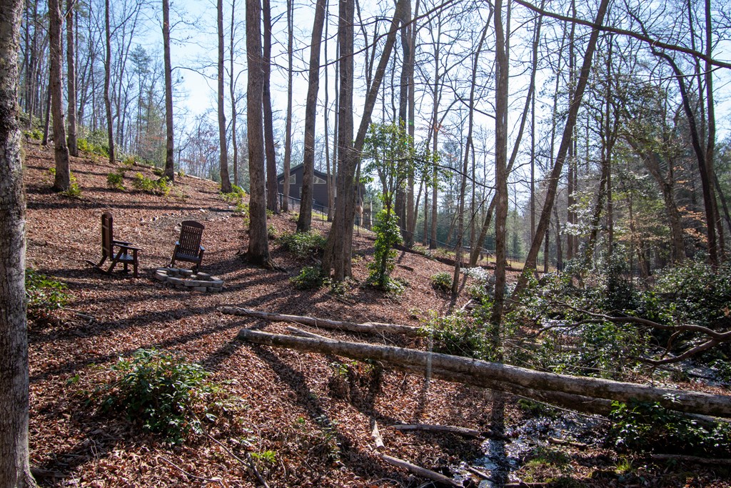 1220 Burger Road Murphy, NC 28906 - Photo 56 of 98