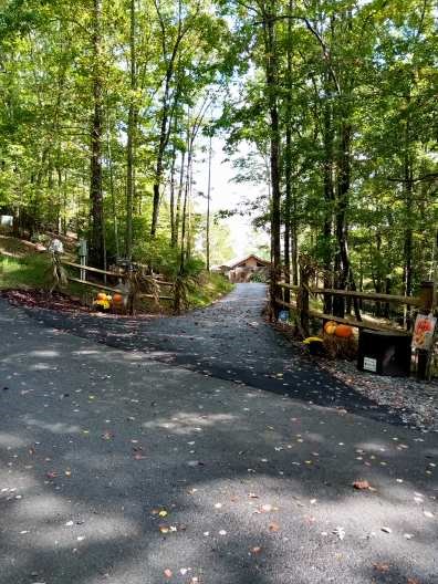 1220 Burger Road Murphy, NC 28906 - Photo 64 of 98