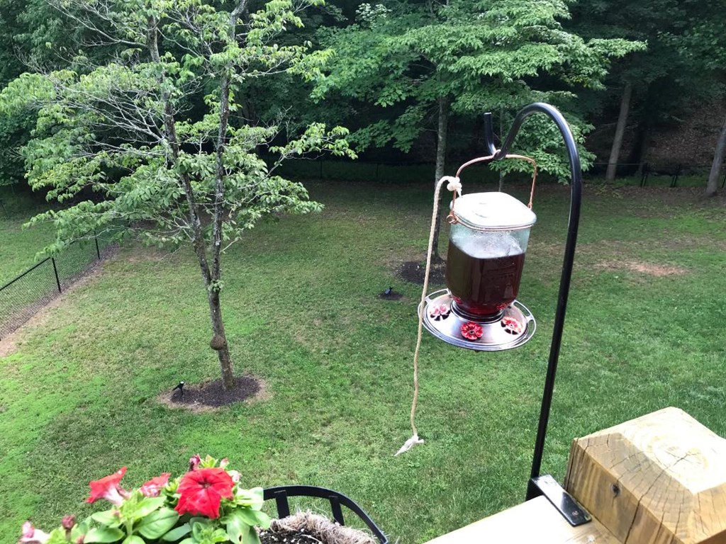 1220 Burger Road Murphy, NC 28906 - Photo 65 of 98