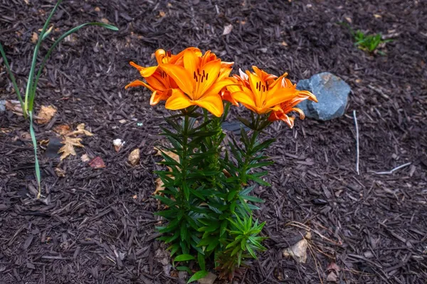 $428,000 | 1220 Burger Road, Murphy, NC 28906