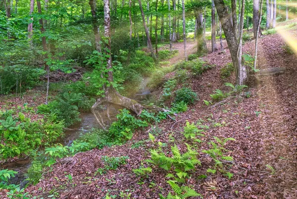 $428,000 | 1220 Burger Road, Murphy, NC 28906