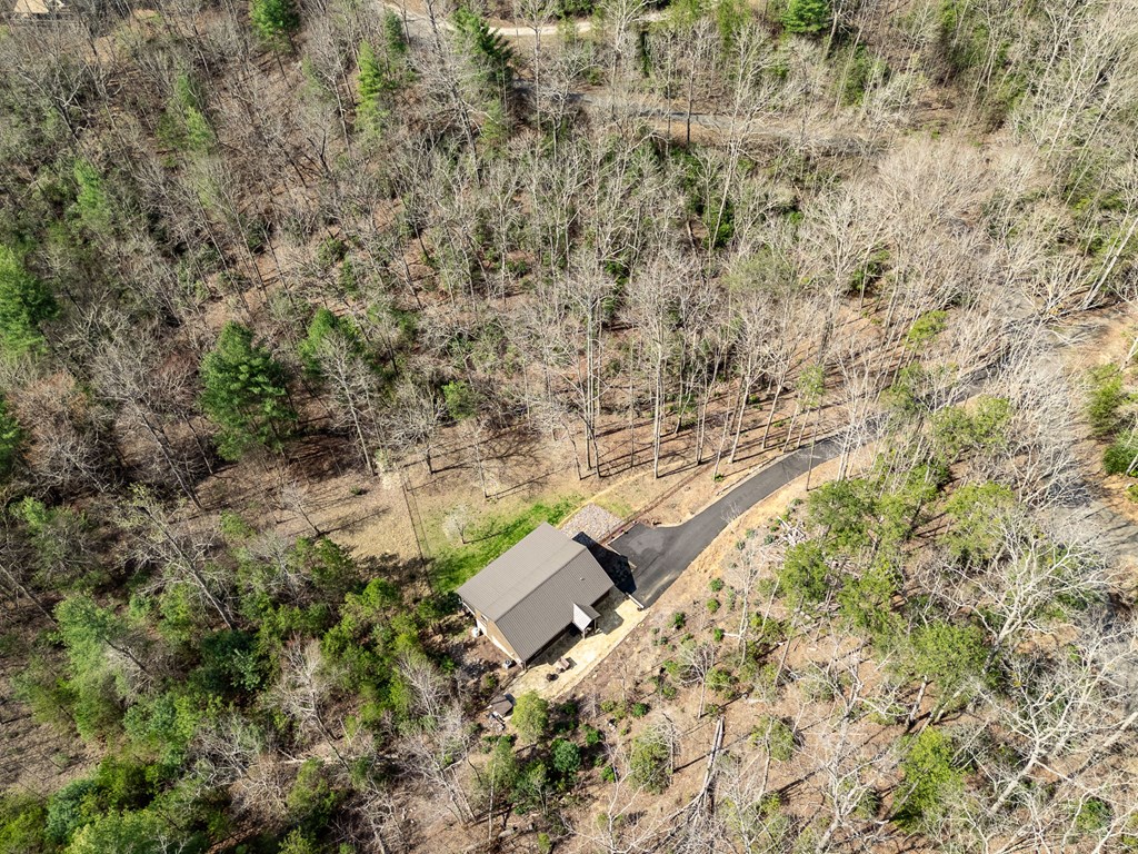 1220 Burger Road Murphy, NC 28906 - Photo 88 of 98