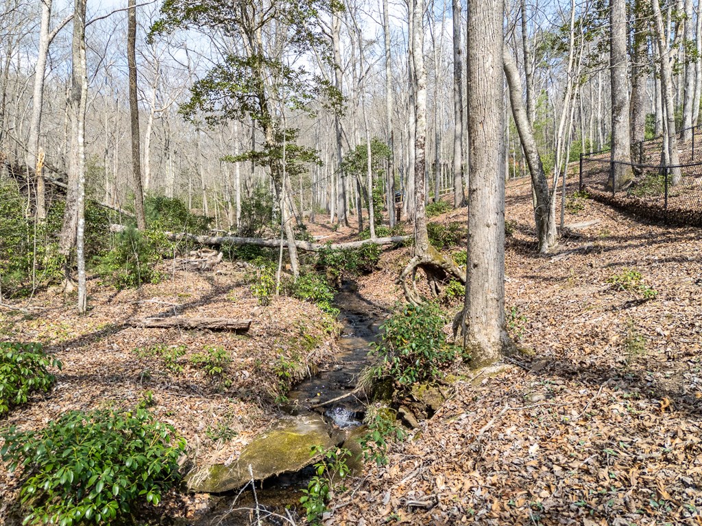 1220 Burger Road Murphy, NC 28906 - Photo 93 of 98