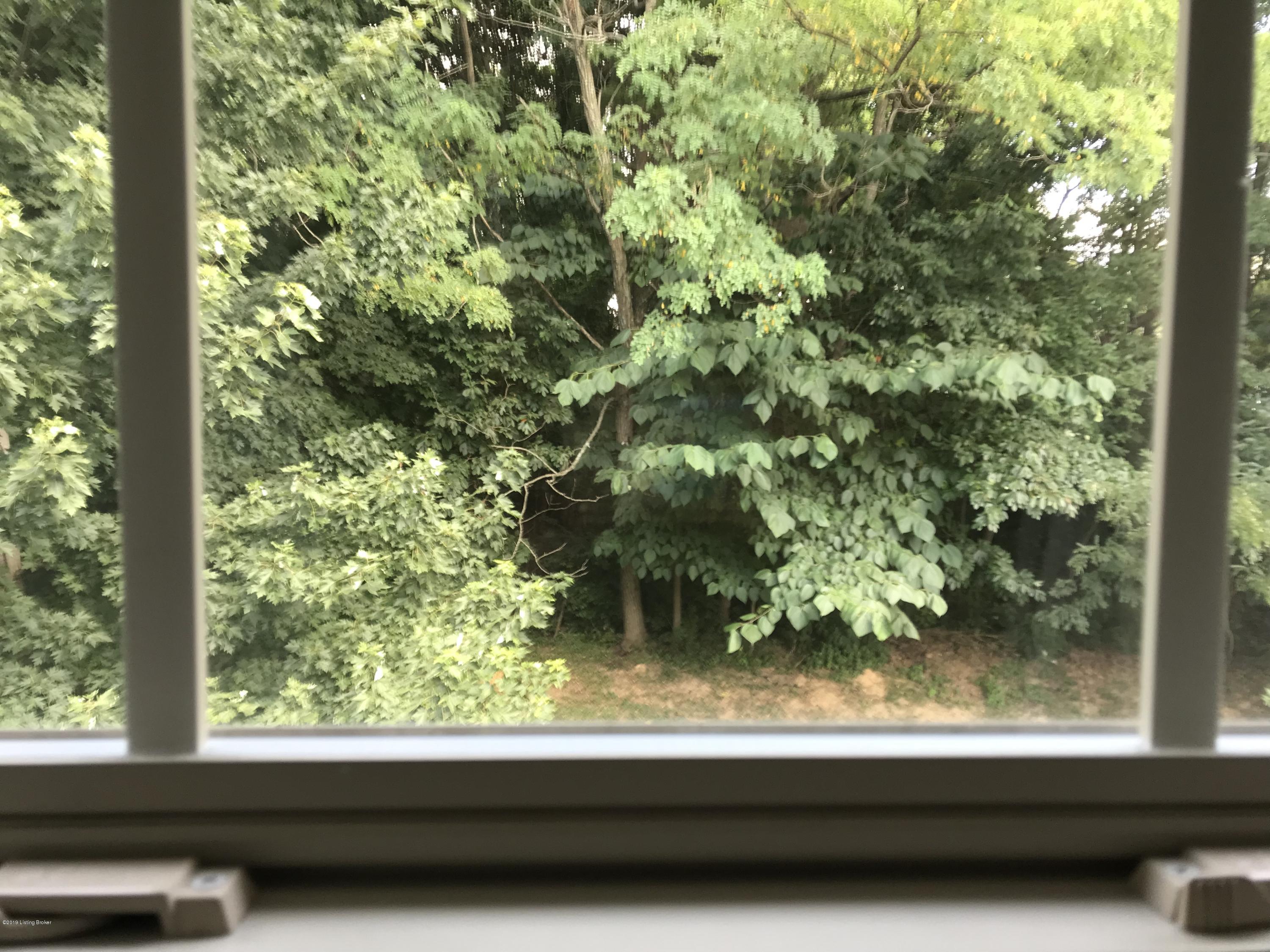 17322 Curry Branch Road Louisville, KY 40245 - Photo 22 of 49 View of the private backyard from the master bedroom