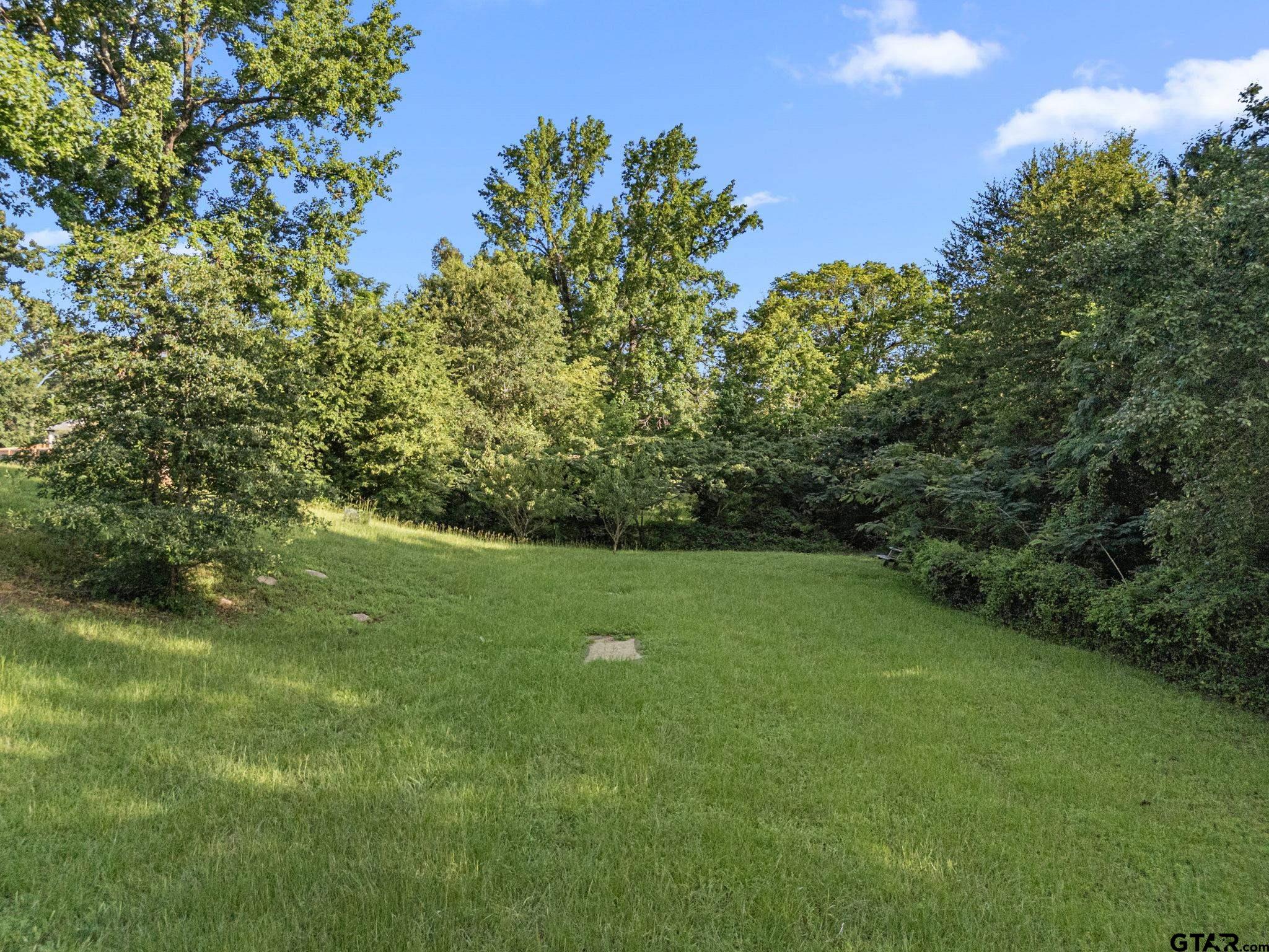 7031 Ridge Pl Circle Tyler, TX 75703 - Photo 23 of 27 a view of field with trees in the background