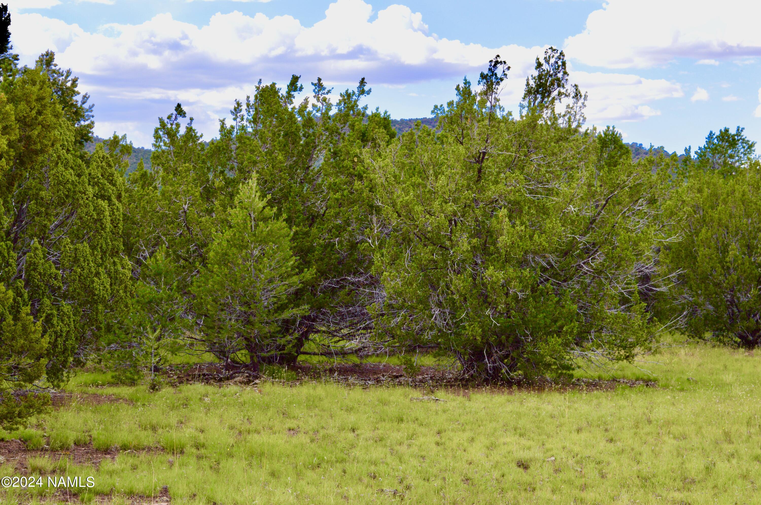 2 North Santa Fe Road Williams, AZ 86046 - Photo 1 of 6 DSC_0001