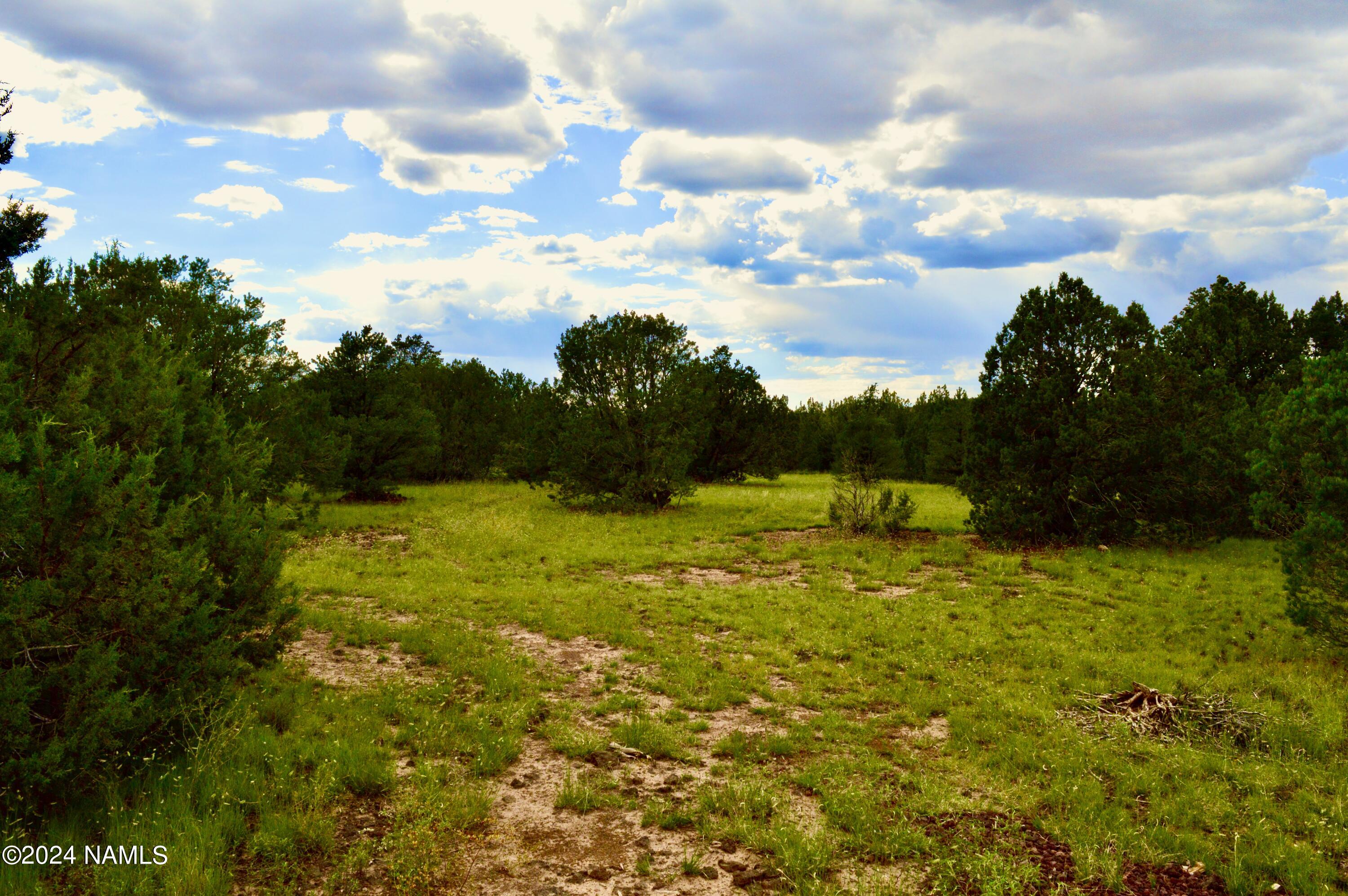 2 North Santa Fe Road Williams, AZ 86046 - Photo 5 of 6 DSC_0005
