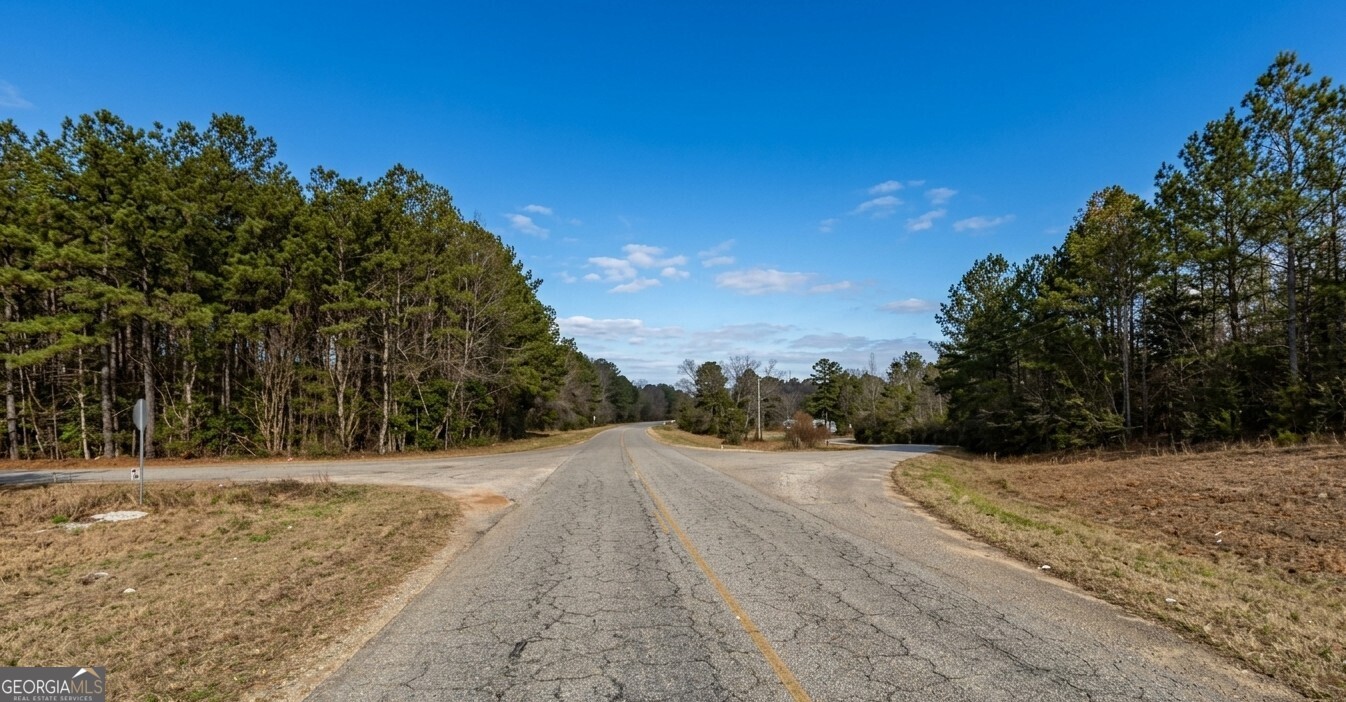 0 Old Franklin Road Tuskegee, AL 36083 - Photo 4 of 8