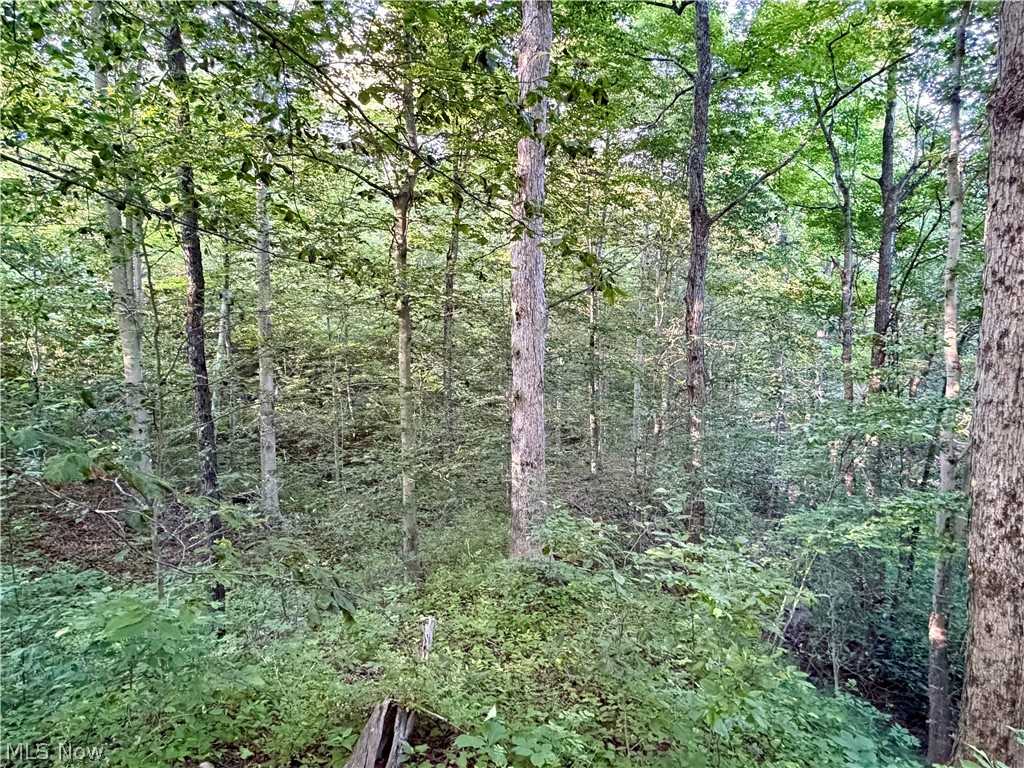 Sykes Ridge Road Clarington, OH 43915 - Photo 19 of 42