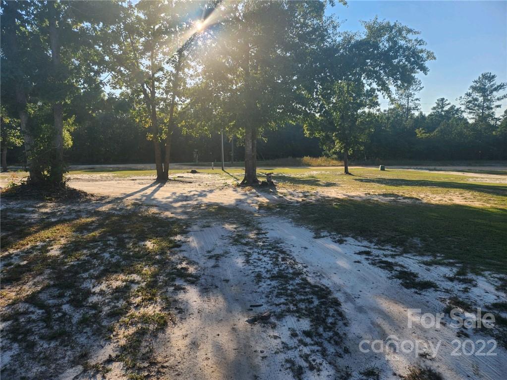 20 Beulah Road Ruby, SC 29741 - Photo 7 of 24 a view of a yard with a tree