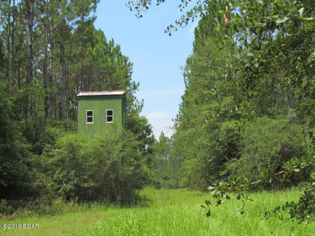294 Creek Ranch Road DeFuniak Springs, FL 32435 - Photo 9 of 24 Gallery Image 9