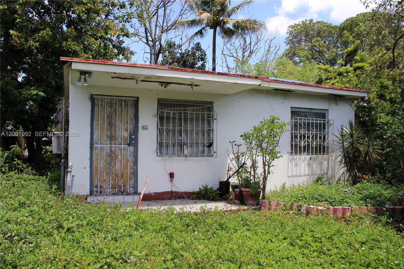 111 Northwest 52nd Street Miami, FL 33127 - Photo 11 of 14 a view of a house with a small yard plants and palm trees
