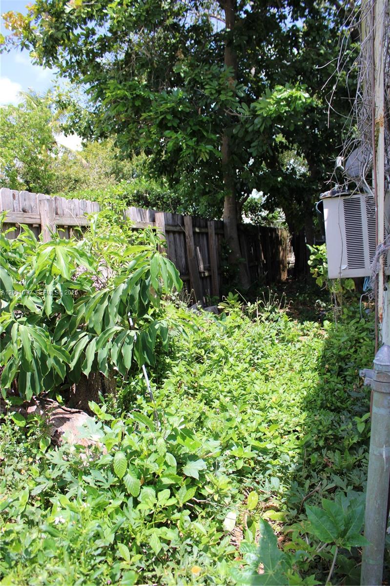 111 Northwest 52nd Street Miami, FL 33127 - Photo 13 of 14 a view of a garden with plants