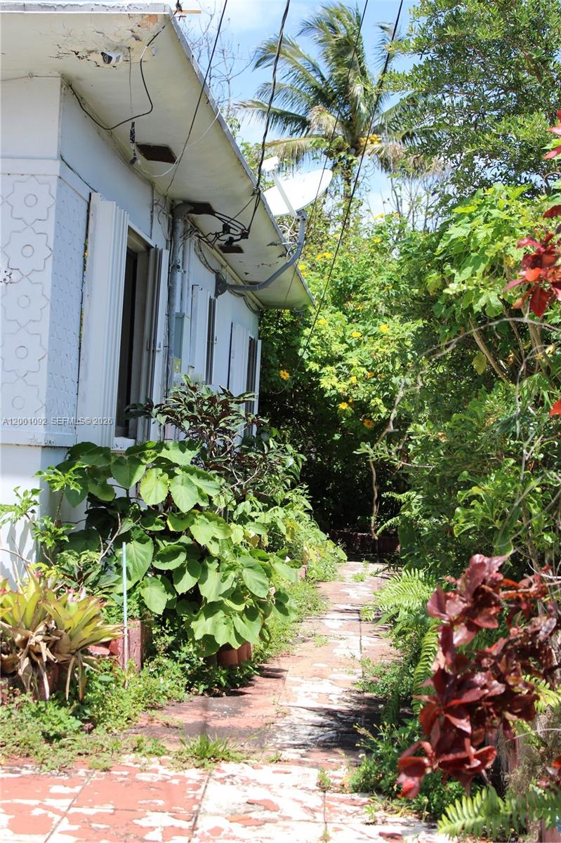 111 Northwest 52nd Street Miami, FL 33127 - Photo 10 of 14 a backyard of a house with lots of green space