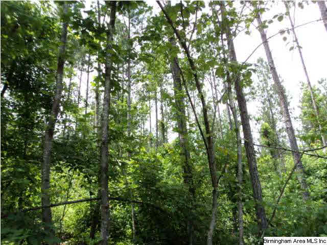 12 County Road, Unit 55 Heflin, AL 36264 - Photo 9 of 10
