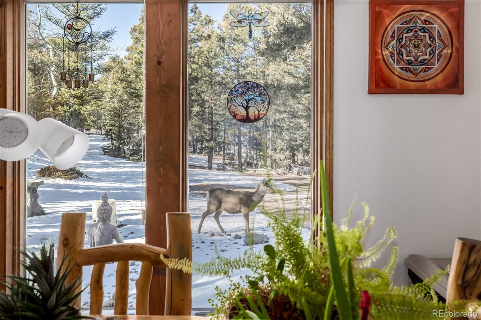 13202 Riley Peak Road Conifer, CO 80433 - Photo 14 of 50