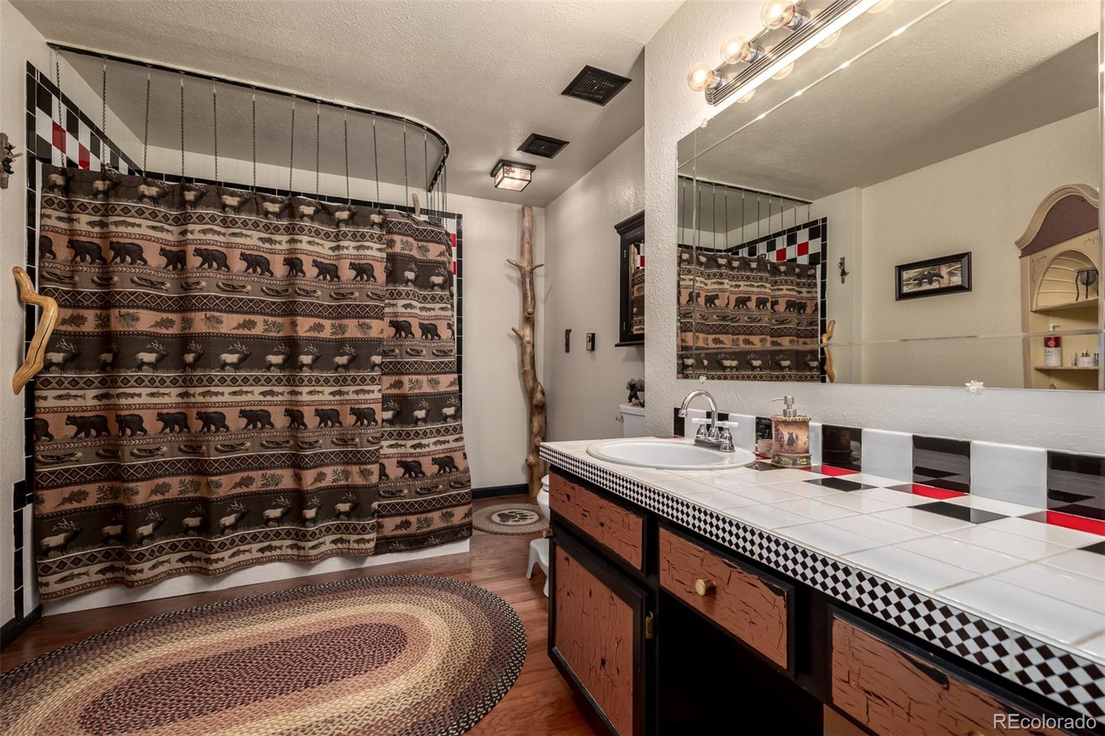 13202 Riley Peak Road Conifer, CO 80433 - Photo 28 of 50