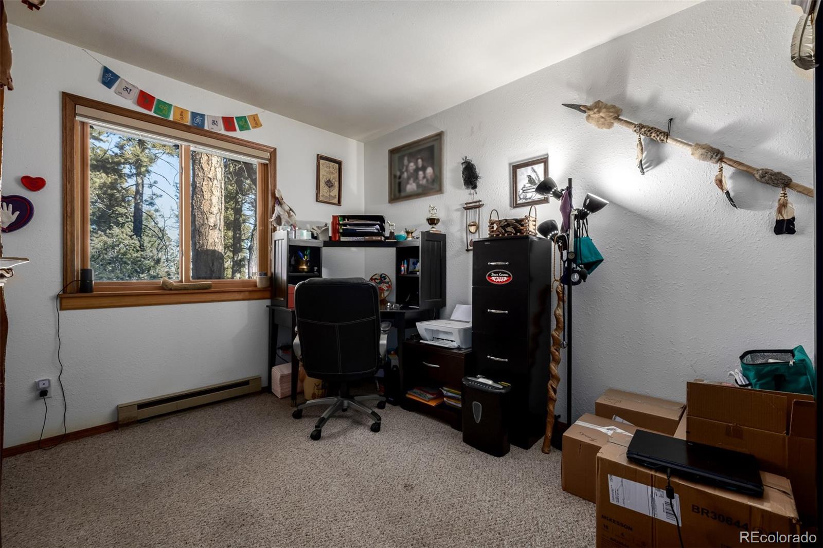 13202 Riley Peak Road Conifer, CO 80433 - Photo 29 of 50