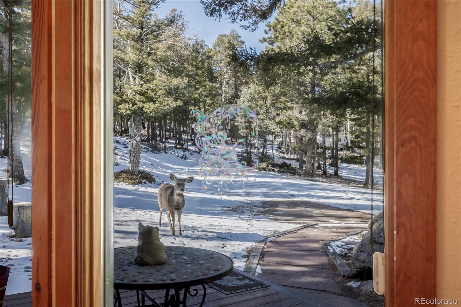 13202 Riley Peak Road Conifer, CO 80433 - Photo 33 of 50