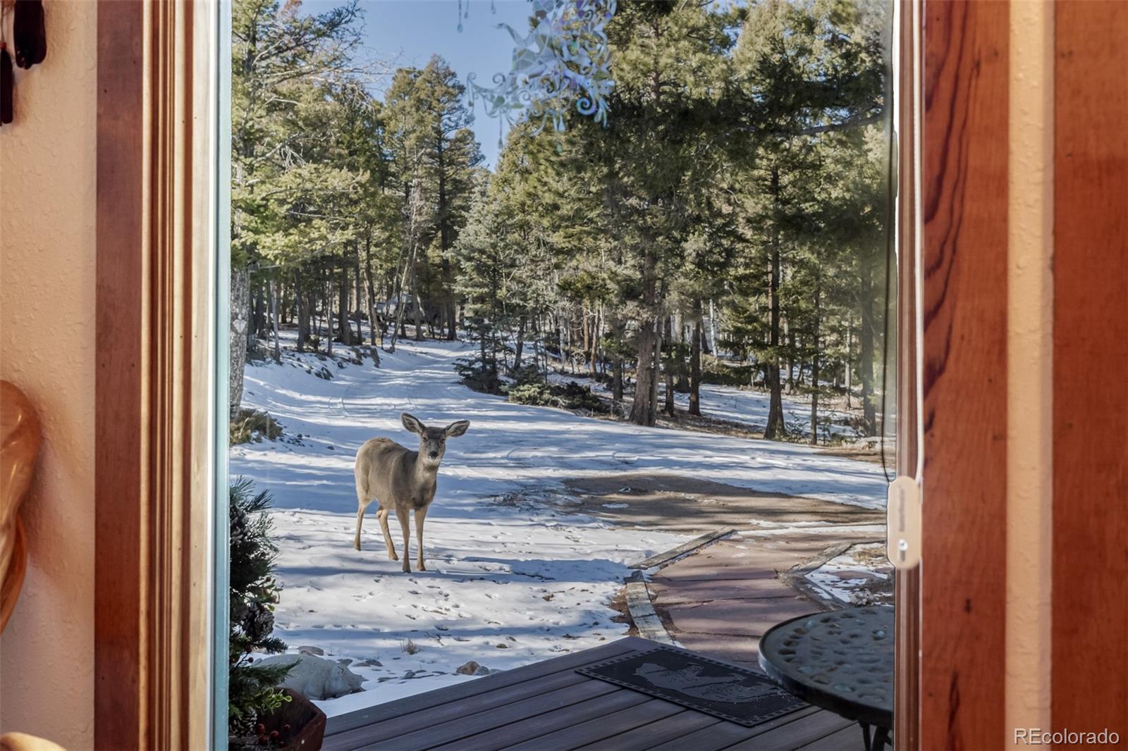 13202 Riley Peak Road Conifer, CO 80433 - Photo 34 of 50