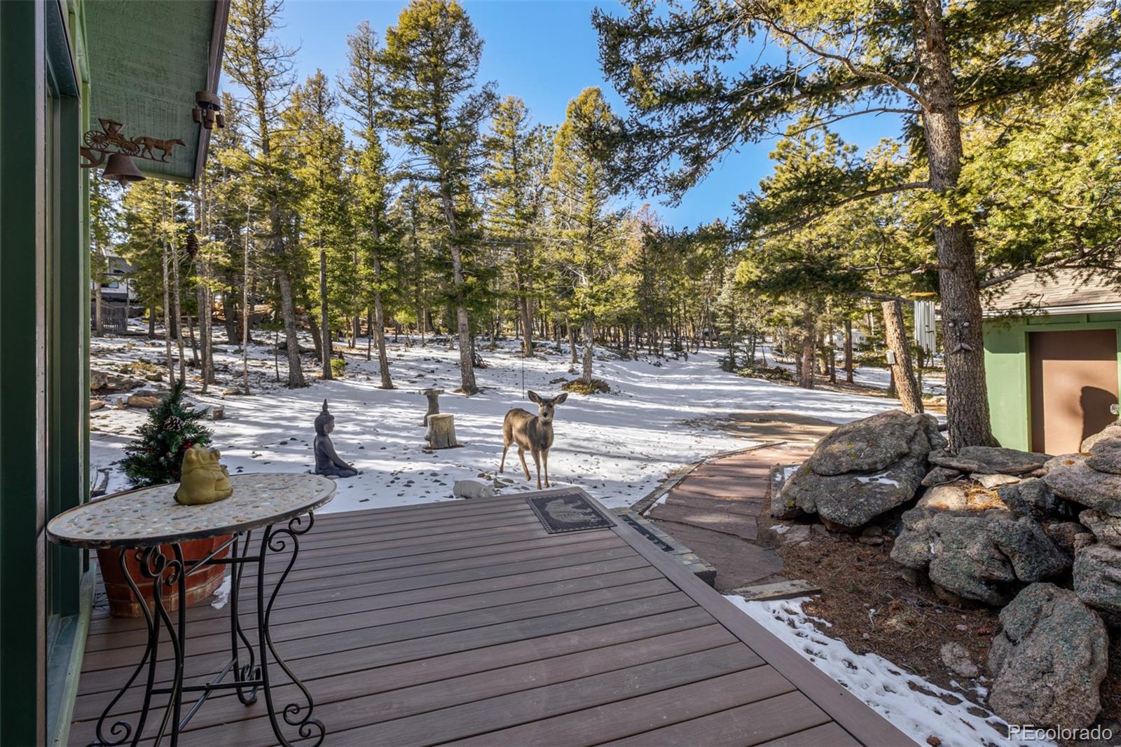 13202 Riley Peak Road Conifer, CO 80433 - Photo 35 of 50