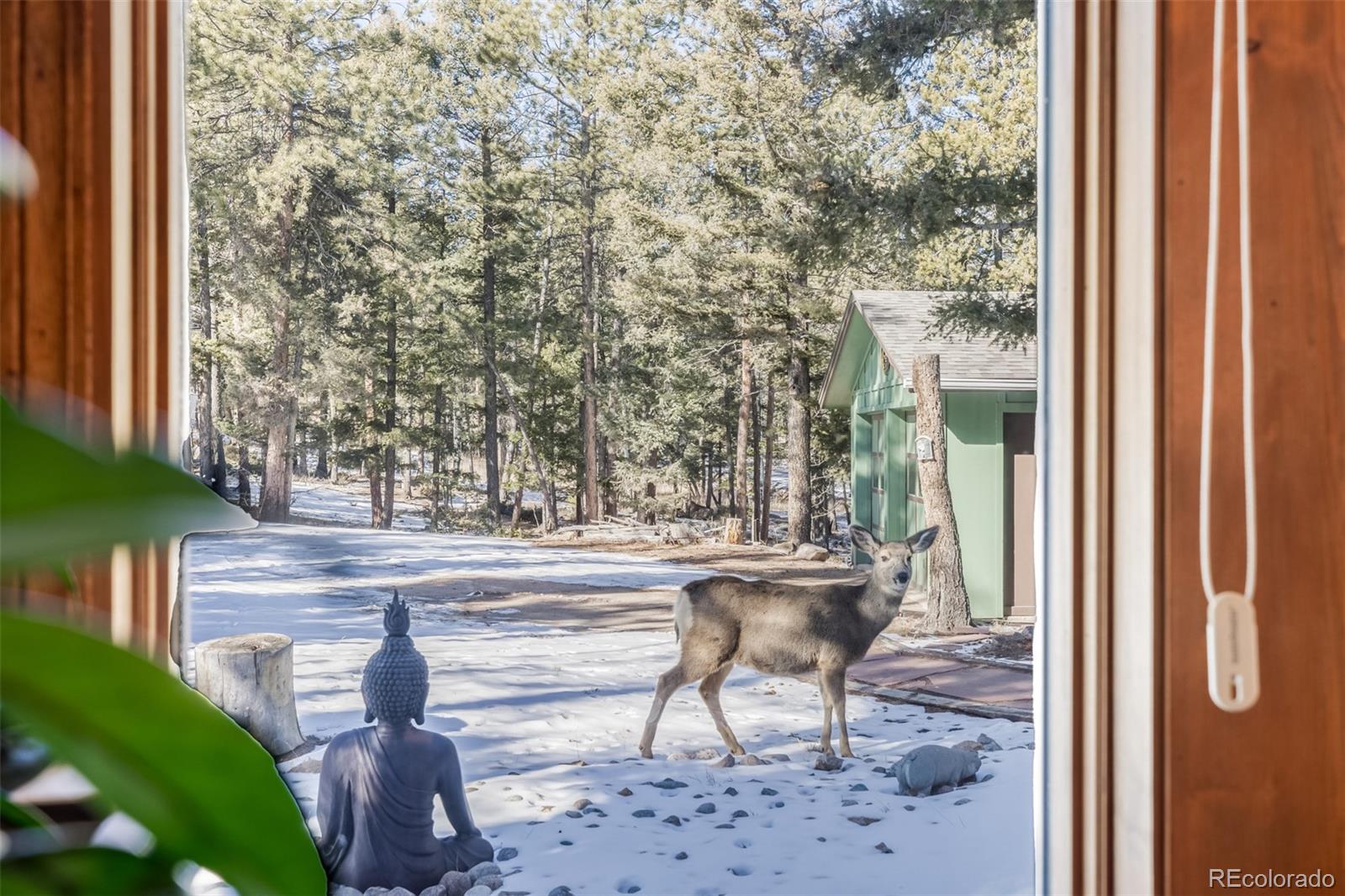 13202 Riley Peak Road Conifer, CO 80433 - Photo 36 of 50