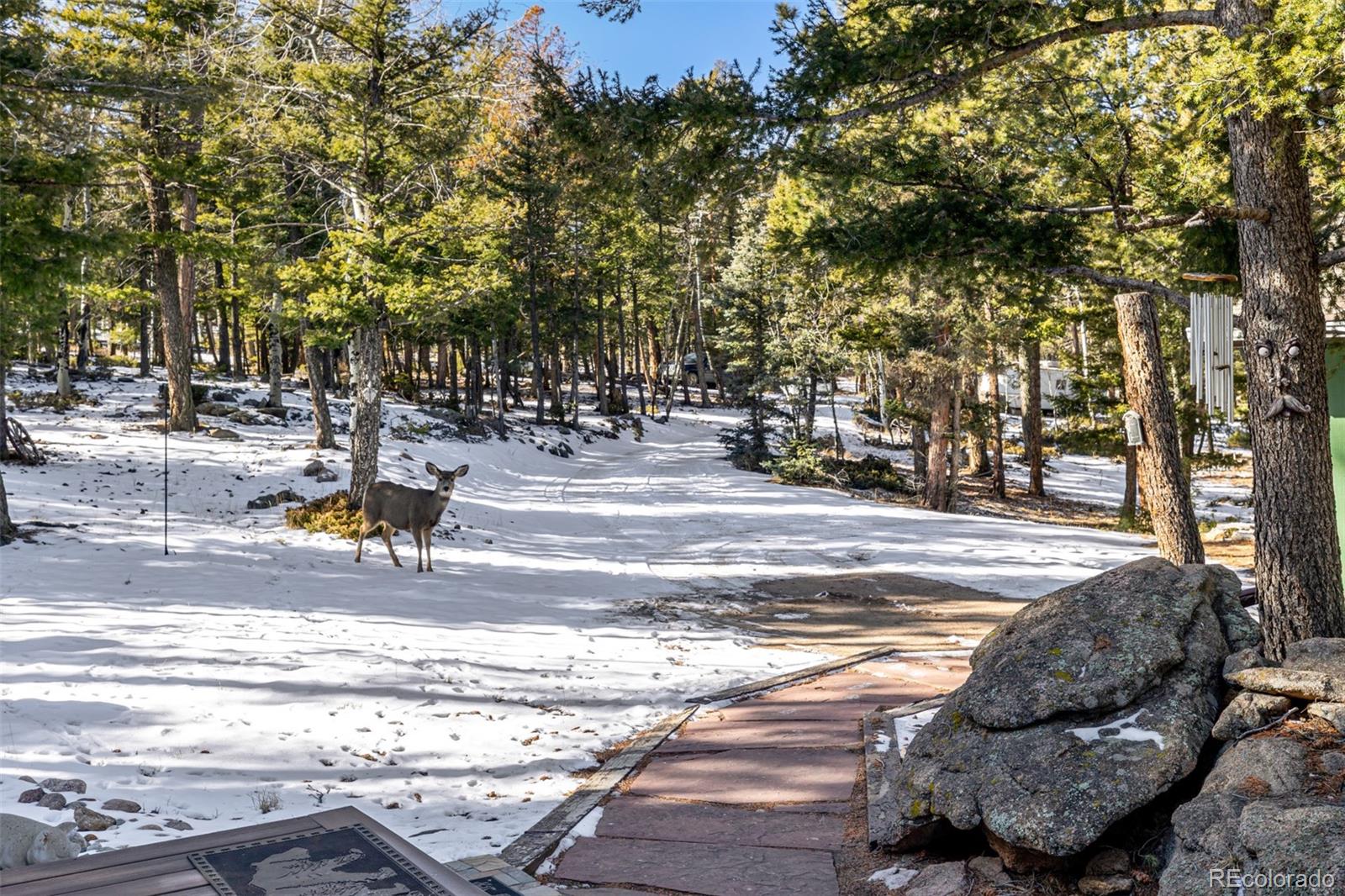 13202 Riley Peak Road Conifer, CO 80433 - Photo 37 of 50