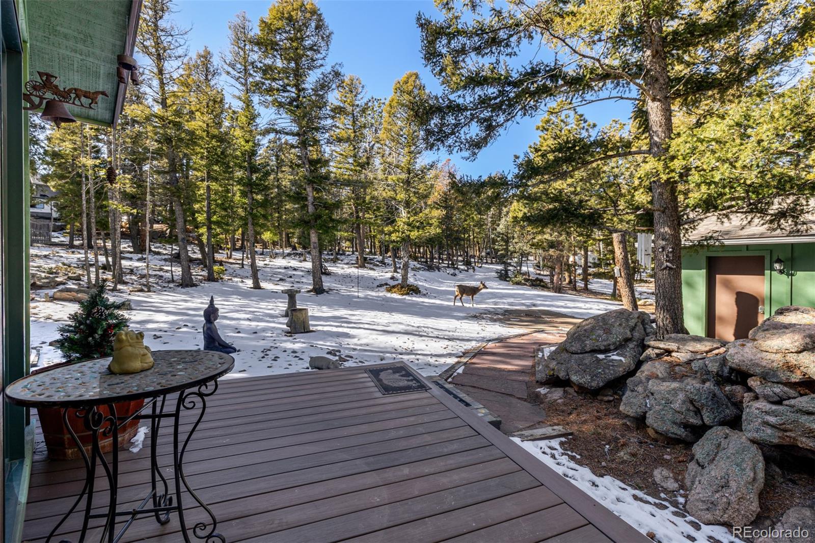 13202 Riley Peak Road Conifer, CO 80433 - Photo 38 of 50