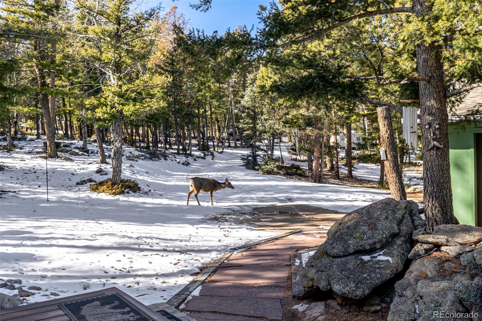 13202 Riley Peak Road Conifer, CO 80433 - Photo 39 of 50