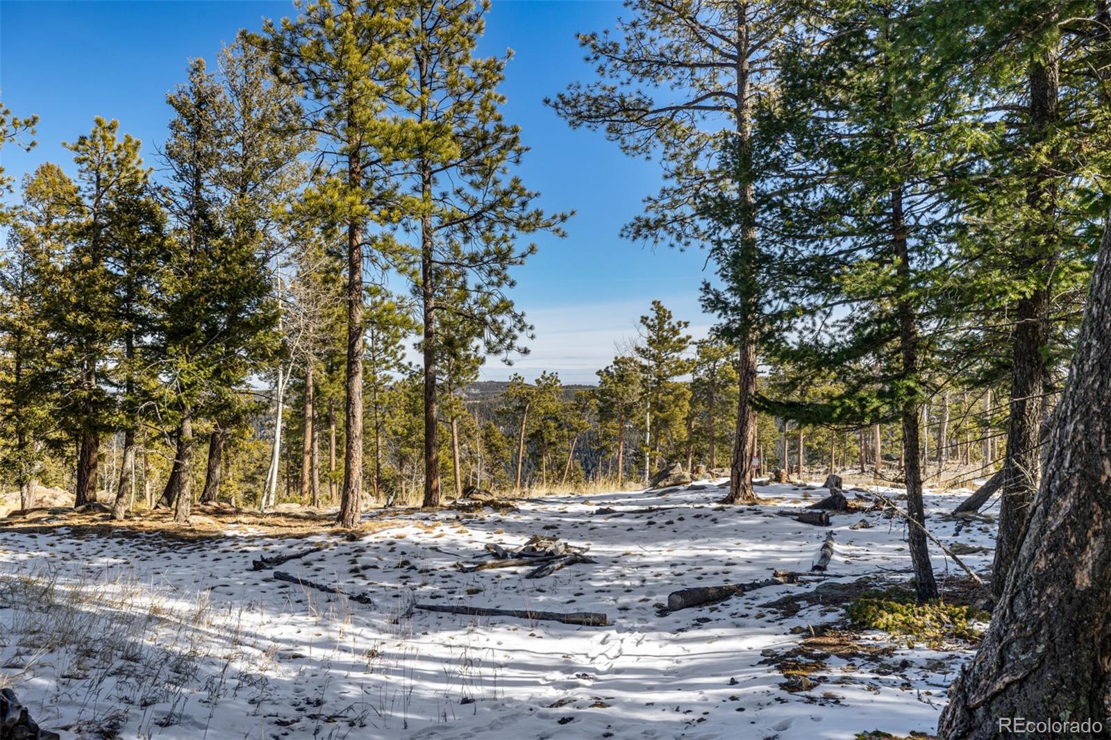 13202 Riley Peak Road Conifer, CO 80433 - Photo 44 of 50