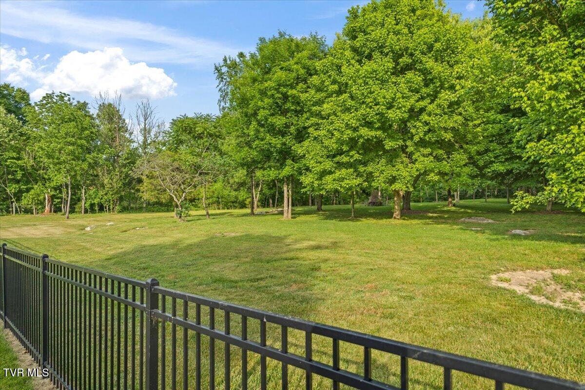 375 Middle Creek Road Afton, TN 37616 - Photo 4 of 119 68-128A1646