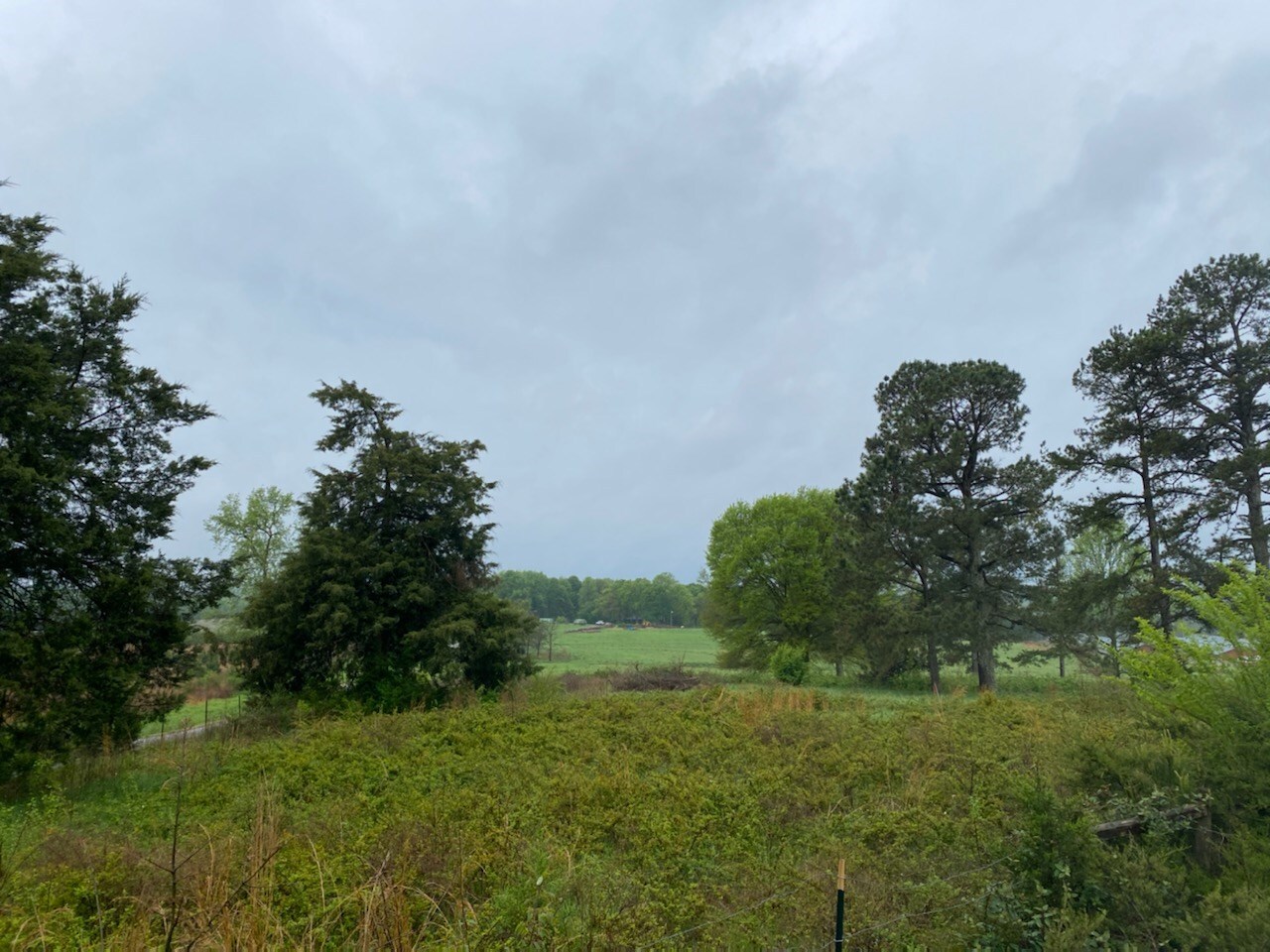 0 Neal Little Road Carnesville, GA 30521 - Photo 1 of 1
