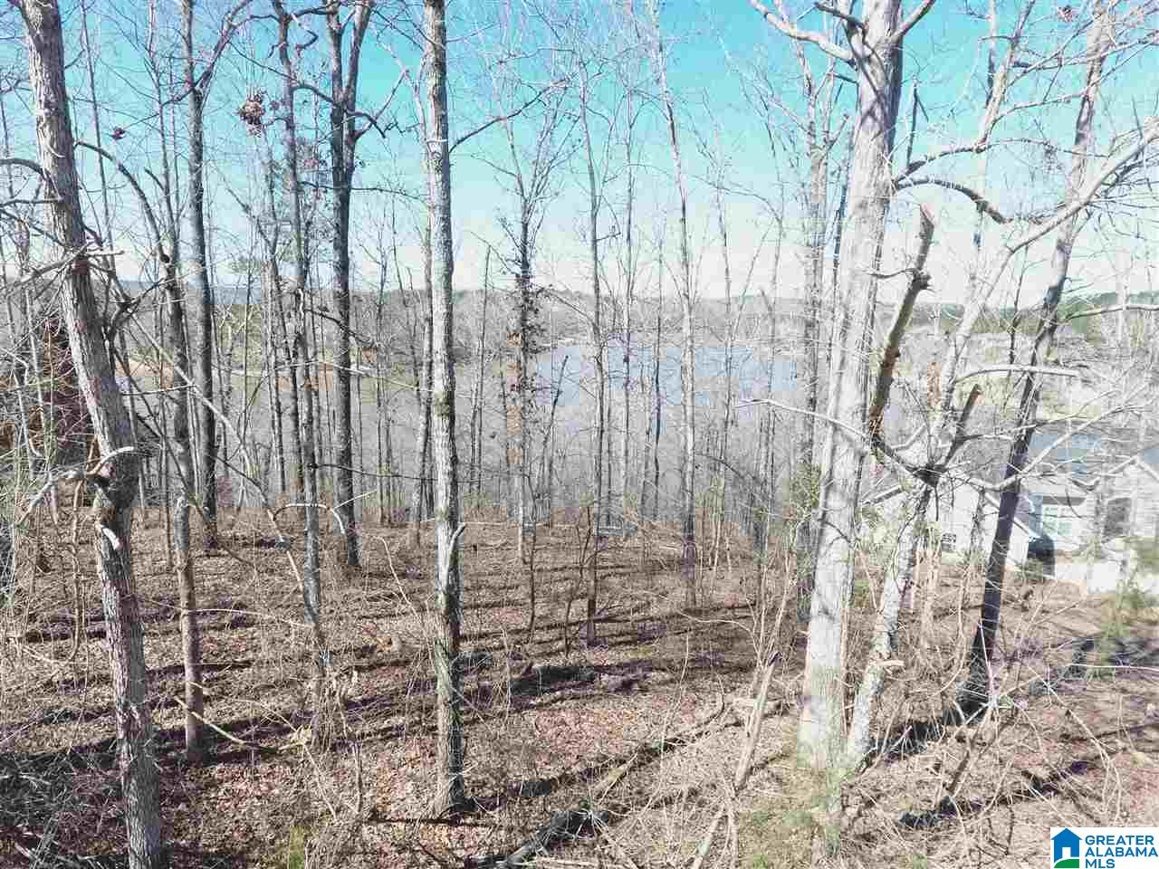 46 Ridgeview Court, Unit LOT #46 Wedowee, AL 36278 - Photo 14 of 15