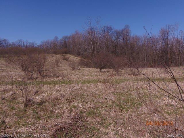 Vl Herd Road Metamora, MI 48455 - Photo 4 of 4 VL Herd 3.JPG