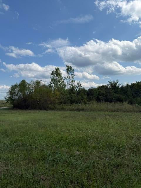 75 County Road Dennis, MS 38838 - Photo 9 of 13 Gallery Image 9