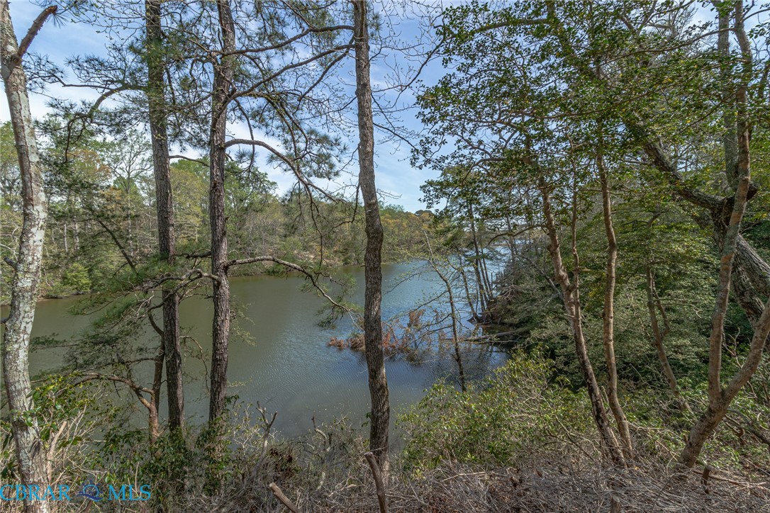Lot 188 Ottoman Ferry Road Lancaster, VA 22503 - Photo 8 of 17
